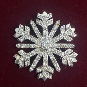 Money Snowflake Brooch